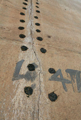 Xuất hiện vết nứt dài 10m trên trụ cầu Vĩnh Tuy